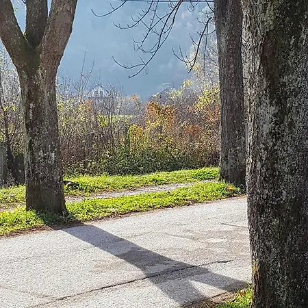 Vrelo Bosne Saraybosna