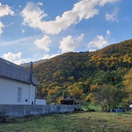 Vrelo Bosne * Saraybosna