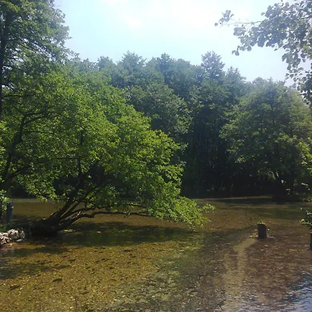 Vrelo Bosne Saraybosna