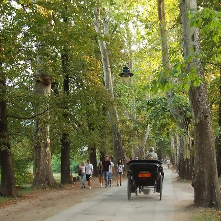 Vrelo Bosne Saraybosna